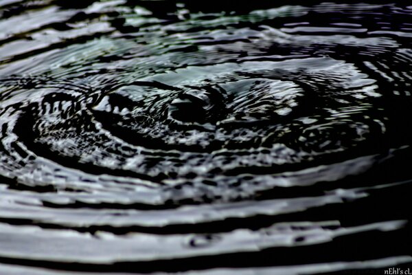 The texture of water. Falling raindrops