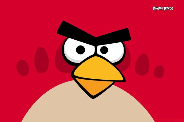 Imagen divertida del personaje principal de dibujos animados angry birds