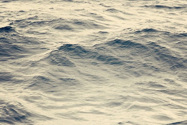 Vagues de la mer dans des tons argentés