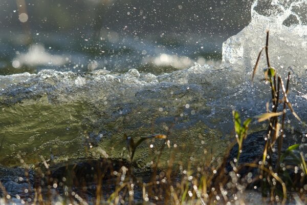 Wasserspritzen hautnah