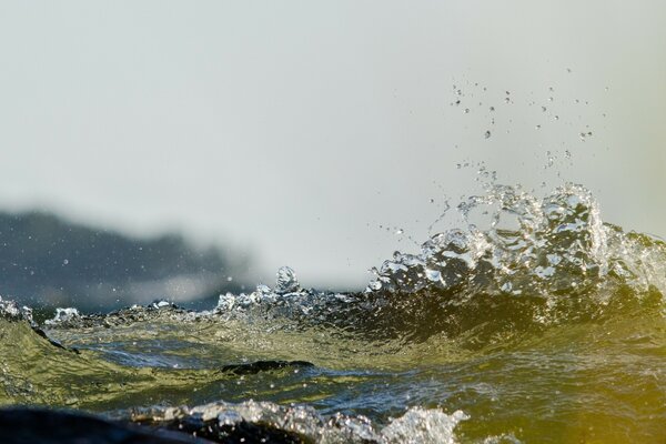 Green water and some splash