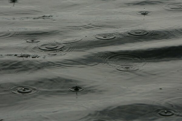 قطرات المطر تسقط على الماء