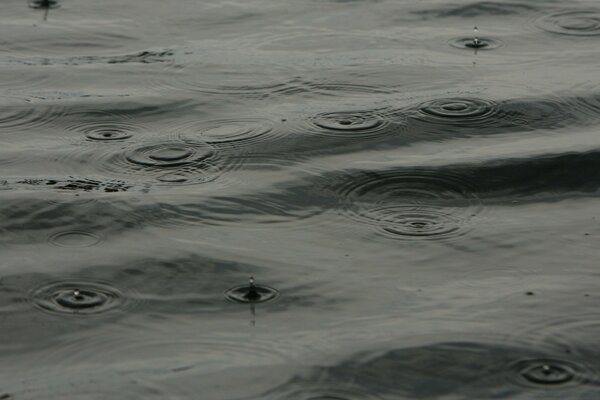 Gotas de lluvia caen sobre el agua