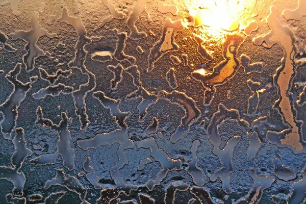 Textura. Gotas de agua en el vidrio. Plantilla