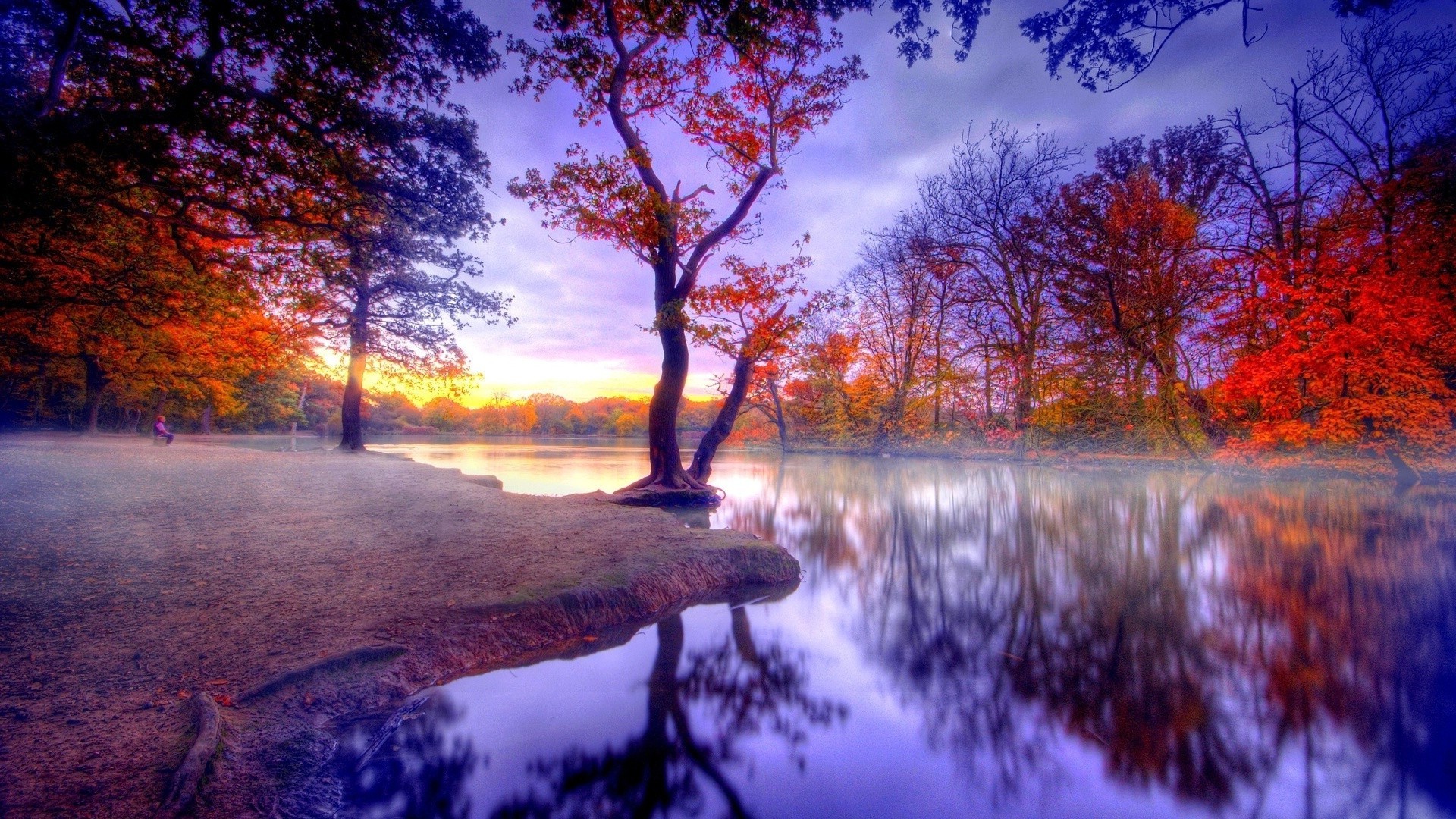 lake tree landscape dawn wood fall nature scenic reflection water park branch evening season outdoors sunset leaf fair weather