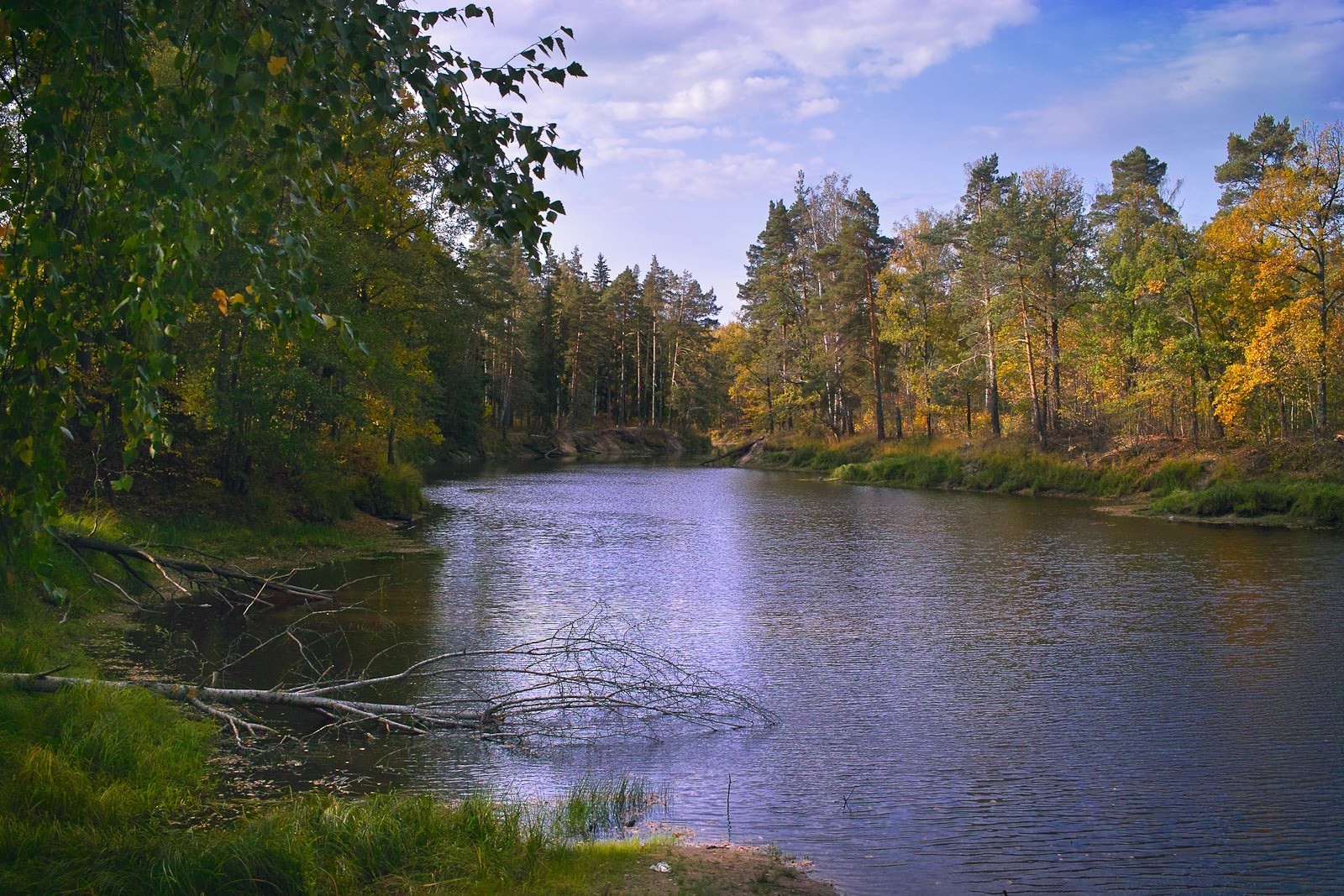 lac eau arbre automne rivière paysage nature bois réflexion à l extérieur feuille scénique ciel parc piscine lumière du jour sang-froid voyage