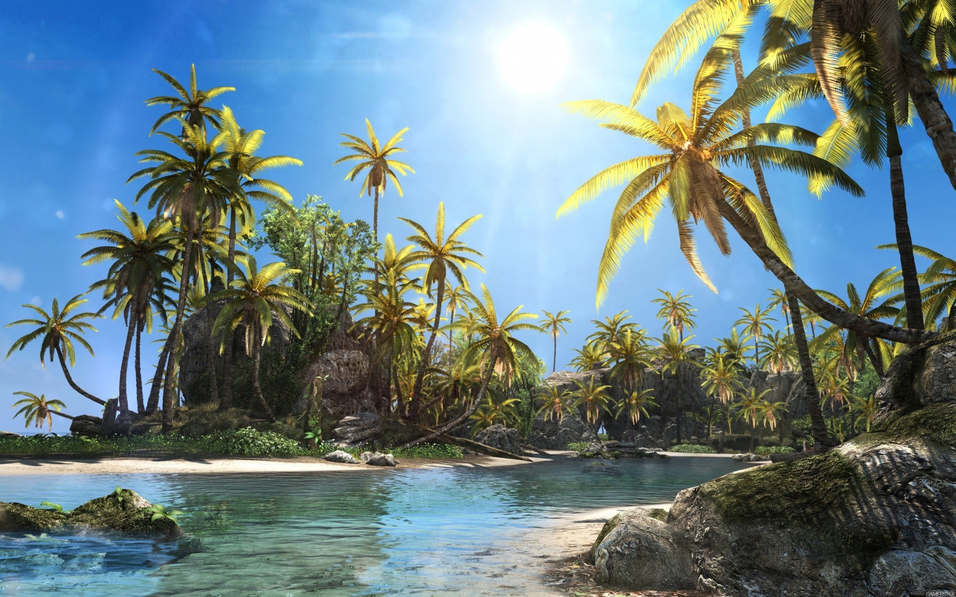 assassin s creed tropical palm exotique paradis noix de coco plage vacances arbre île été eau voyage mer station nature lagune paysage soleil belle océan