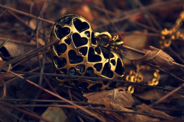 Heart-shaped pendant on autumn leaves