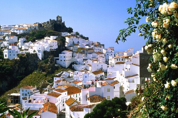 Hermosa ciudad de las montañas nm en la luz del sol