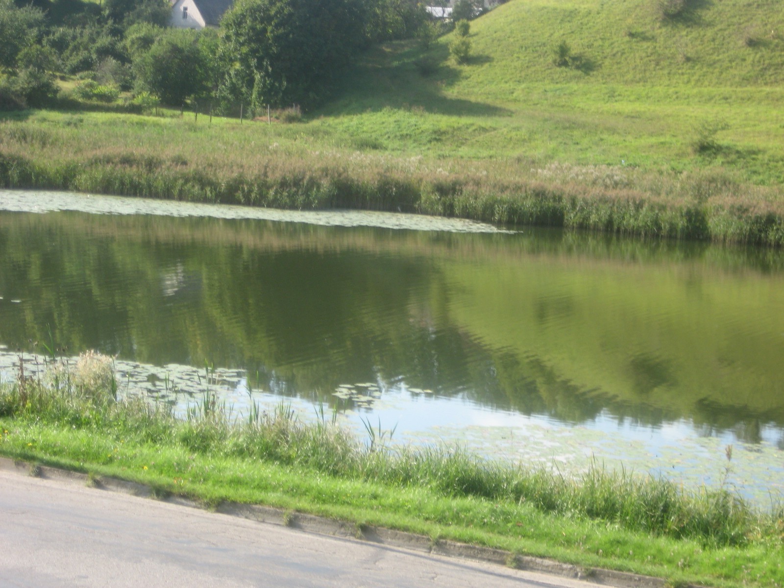 native weite landschaft wasser fluss see reflexion natur gras reisen baum im freien umwelt himmel