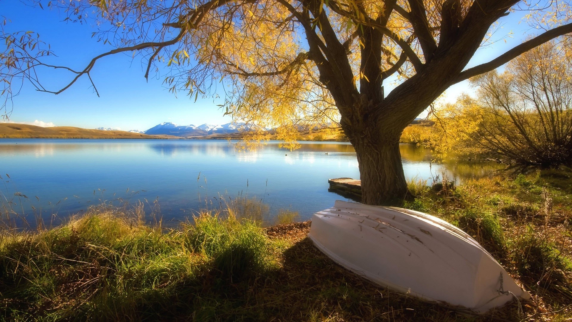 rivers ponds and streams tree landscape dawn fall water lake nature sunset reflection wood outdoors evening leaf scenic sky sun park