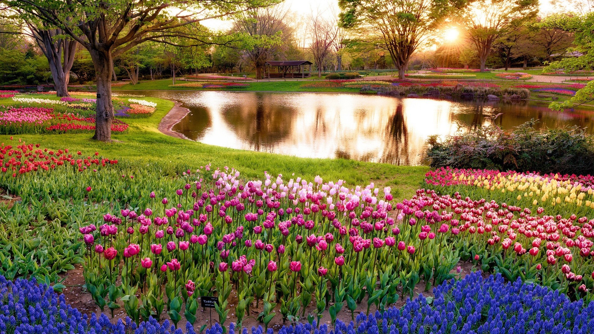 city and architecture flower garden tulip flora nature park blooming landscape season floral leaf color outdoors springtime petal summer grass field bed