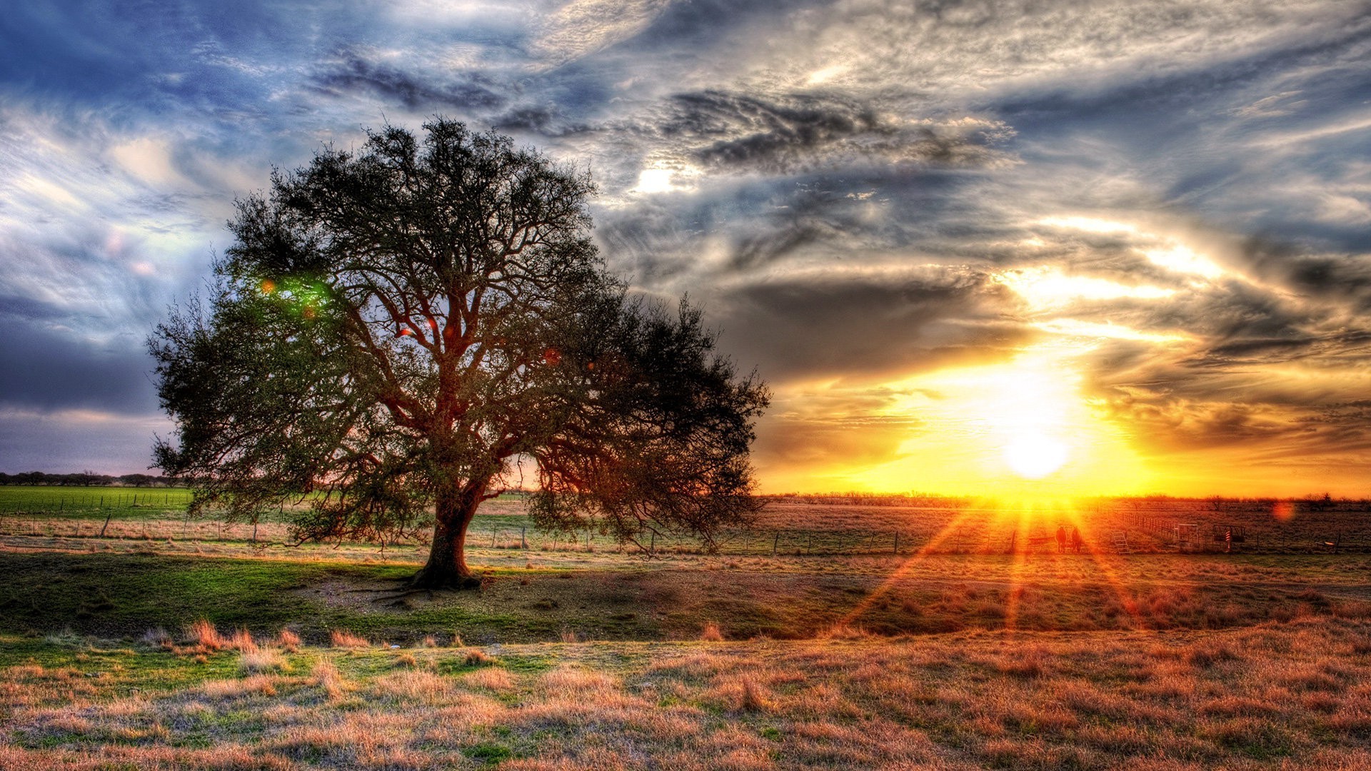 pôr do sol e amanhecer sol pôr do sol amanhecer paisagem natureza céu árvore bom tempo nuvem rural brilhante à noite