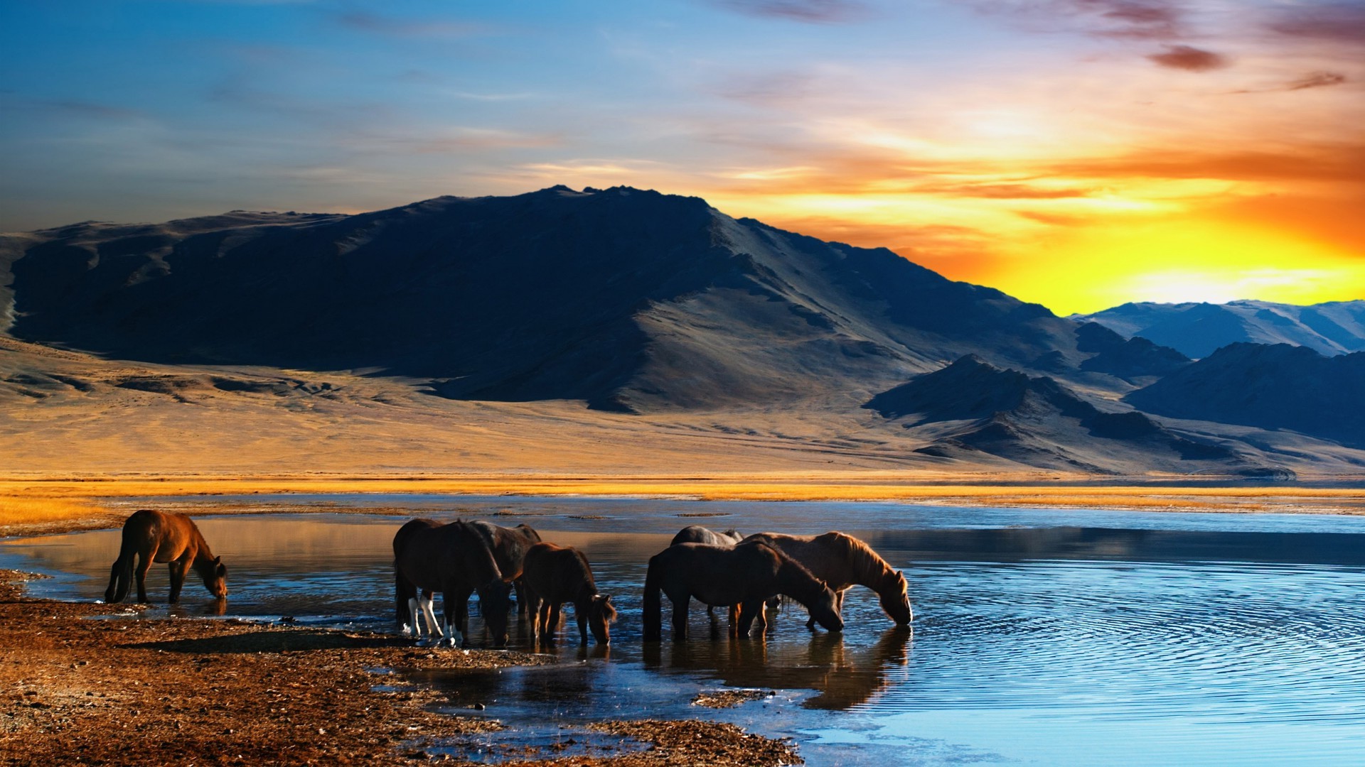 horses water sunset travel dawn nature sky outdoors landscape reflection lake mountain evening snow