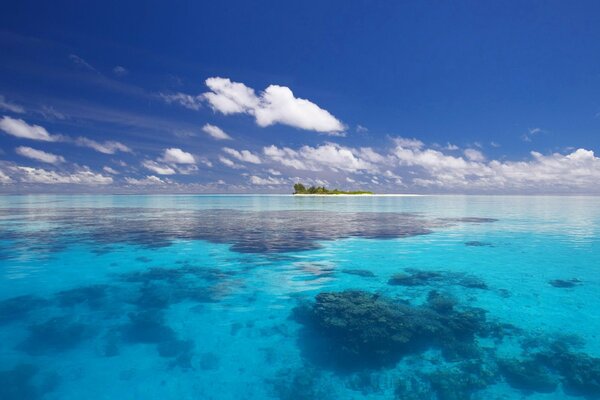 Isla tropical en el océano