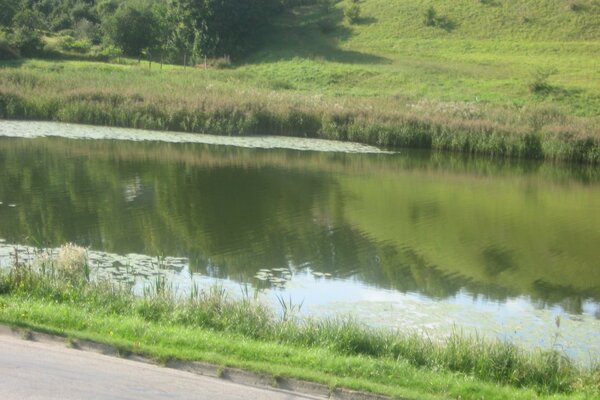 Teich. Gras. der Hügel. Die Natur