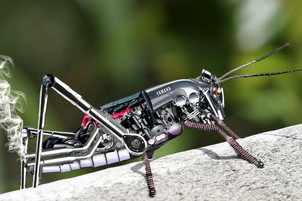 Cyber grasshopper prepares to jump