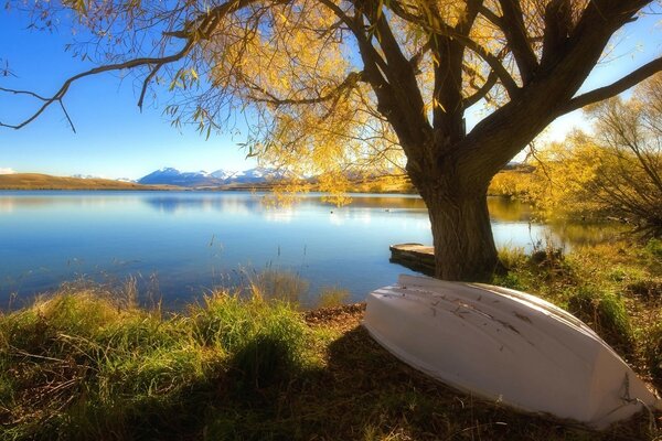 Bateau blanc au bord du lac