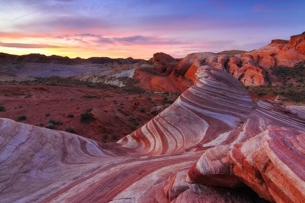 Desert and sandy canyon landscape