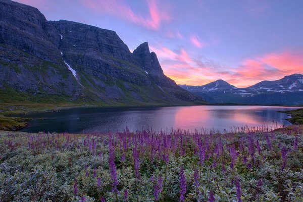 Paysage de fleurs, de montagnes et d eau