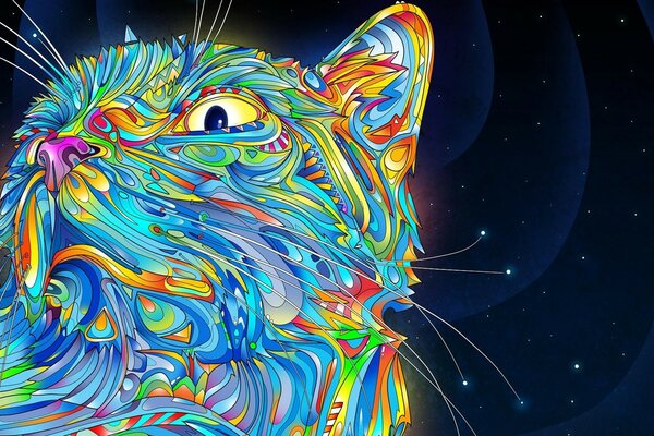 قطة الفضاء على خلفية الكون