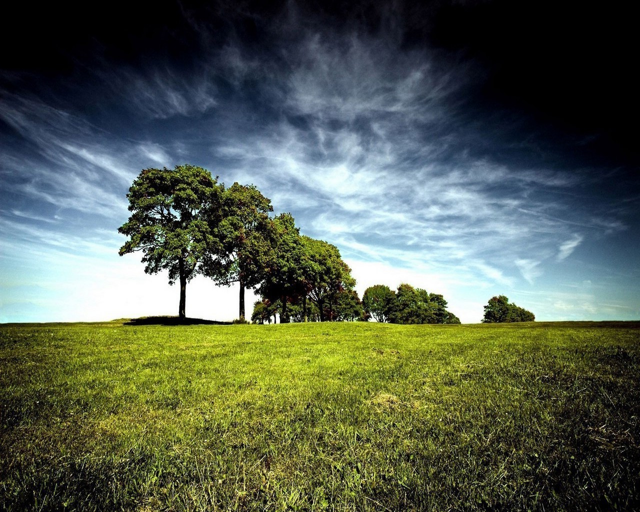 campi prati e valli albero paesaggio natura erba cielo campo fieno all aperto campagna rurale luce nuvola sole