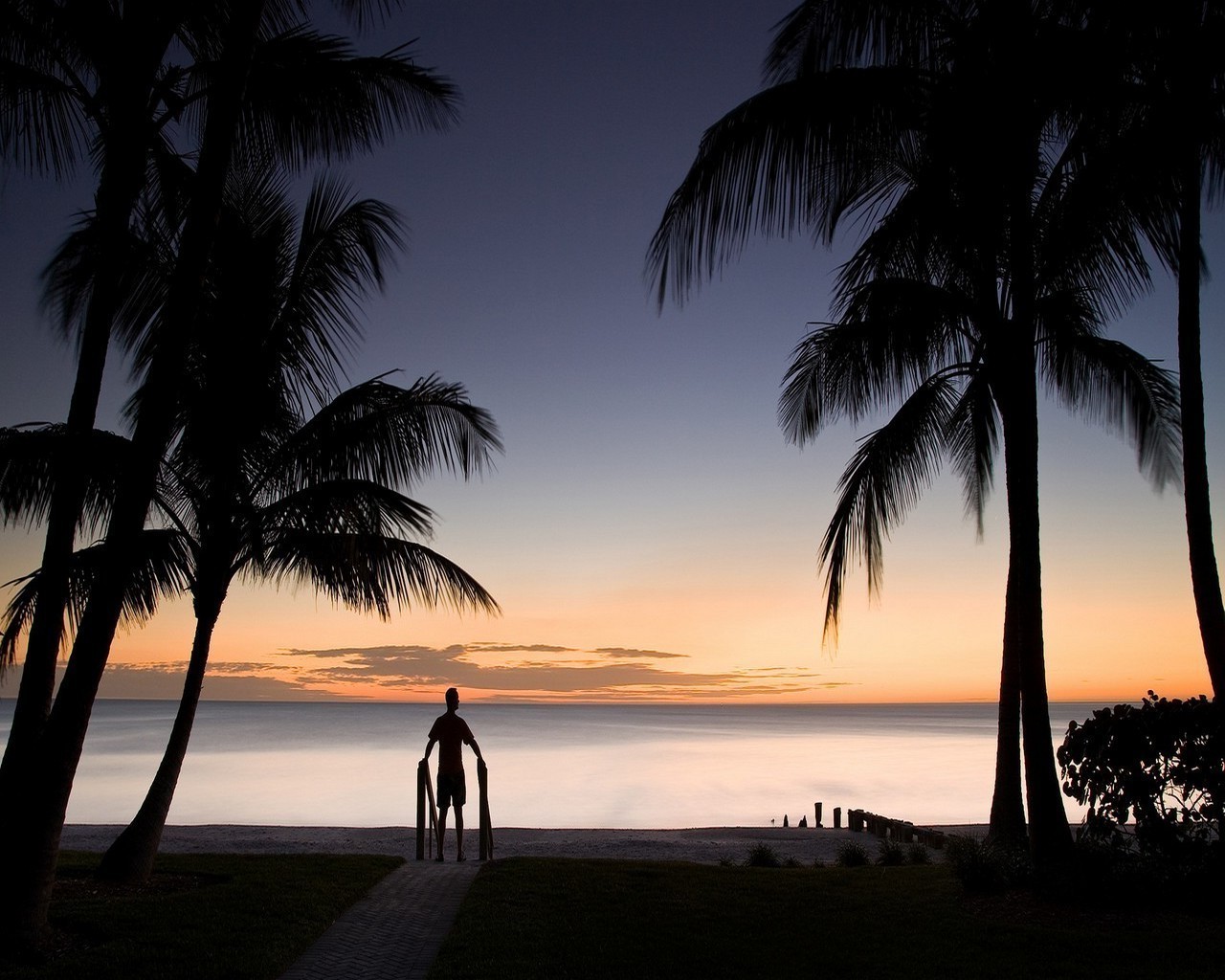 sonnenuntergang und dämmerung strand sand ozean sonne tropisch meer palmen wasser reisen insel exotisch landschaft sommer urlaub idylle entspannung sonnenuntergang bucht meer