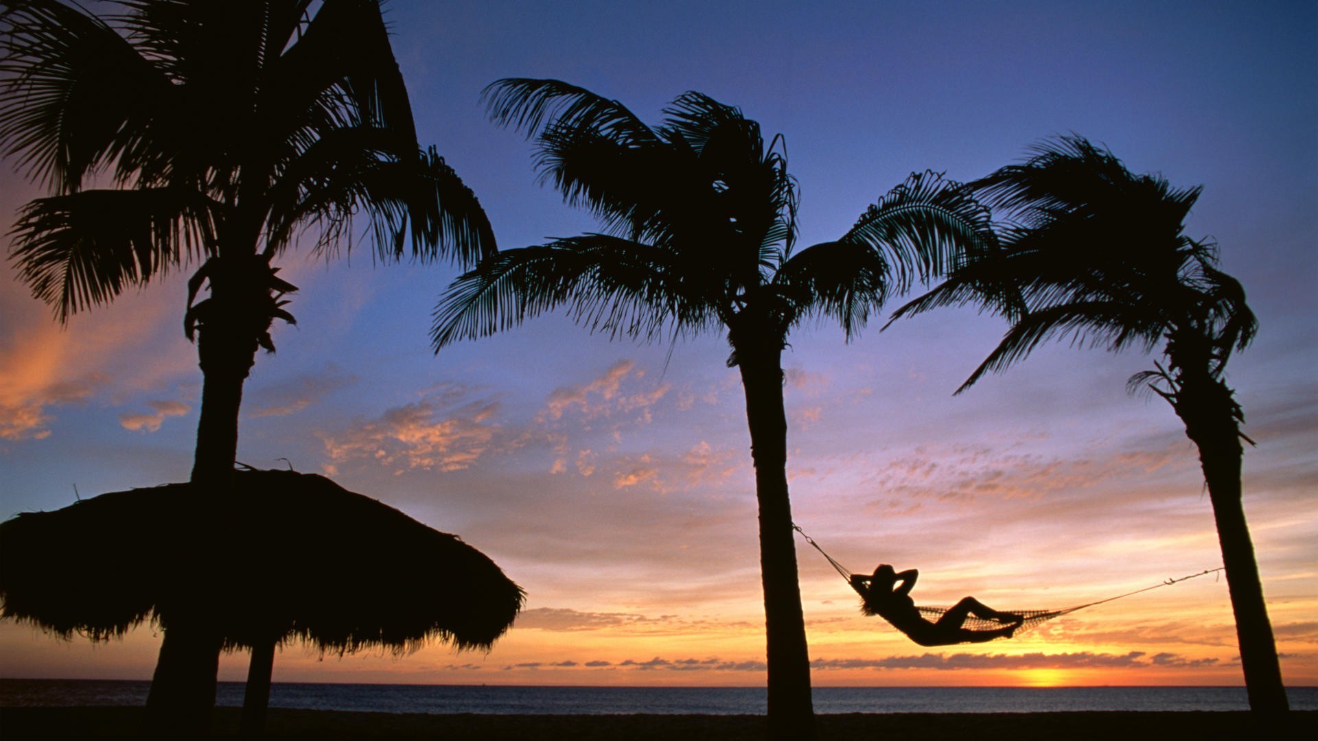 coucher de soleil et l aube palm plage tropical coucher de soleil silhouette arbre rétro-éclairé soleil exotique voyage sable mer océan île eau noix de coco idylle soirée