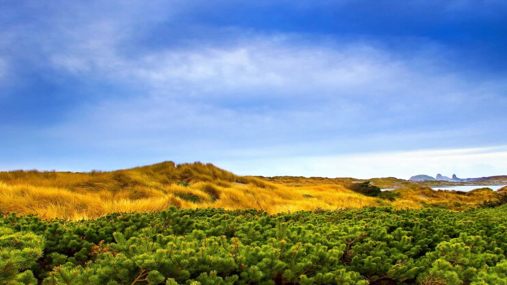 landscapes landscape outdoors cropland nature agriculture sky travel scenic vineyard growth hill sunset daylight countryside vine tree