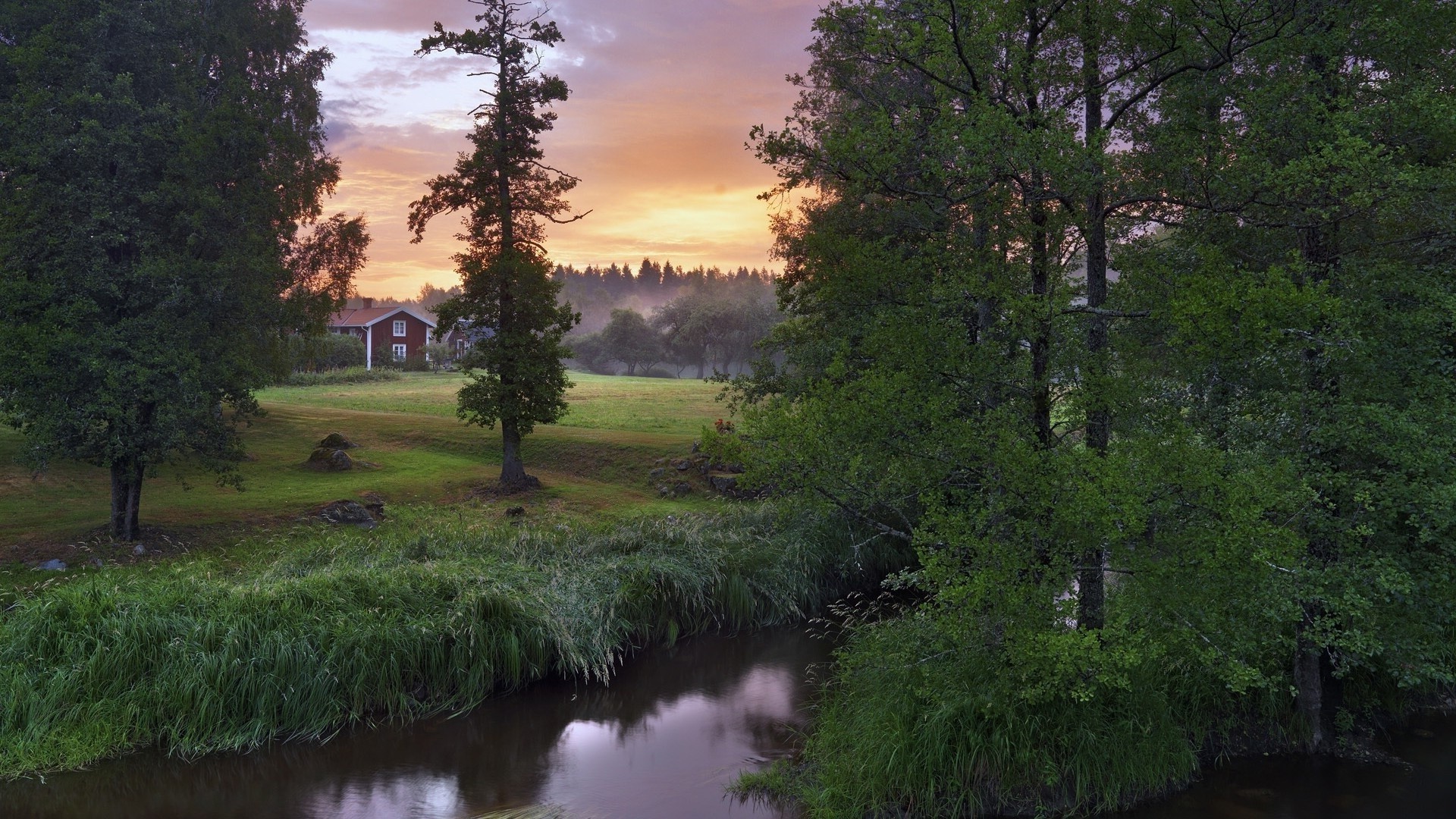 rivières étangs et ruisseaux étangs et ruisseaux arbre paysage nature eau à l extérieur bois lac rivière réflexion été herbe parc aube voyage ciel