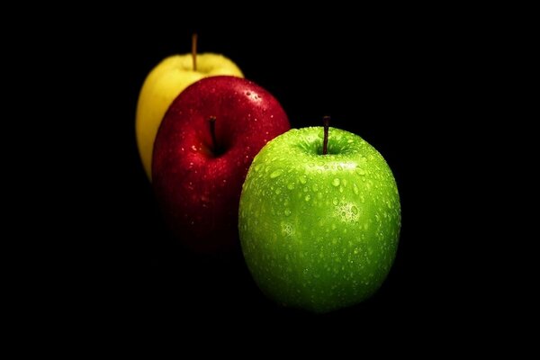 A set of apples of different colors