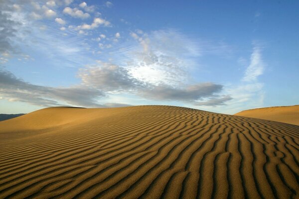 Hermosa foto del desierto de arena