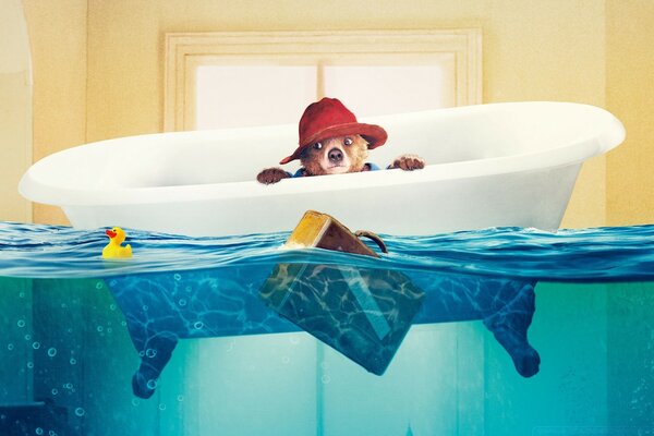 Paddington-Bär schwimmt in der Wanne