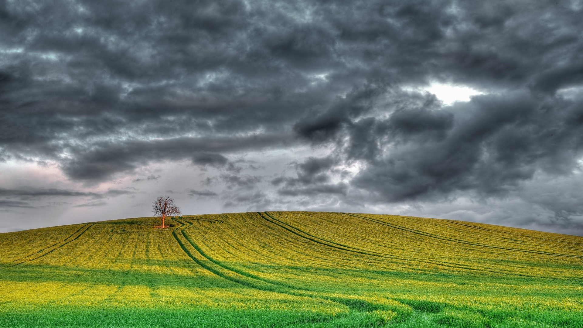 fields meadows and valleys rural agriculture nature sky field landscape countryside grass farm outdoors pasture wheat farmland summer cropland sunset growth sun fair weather