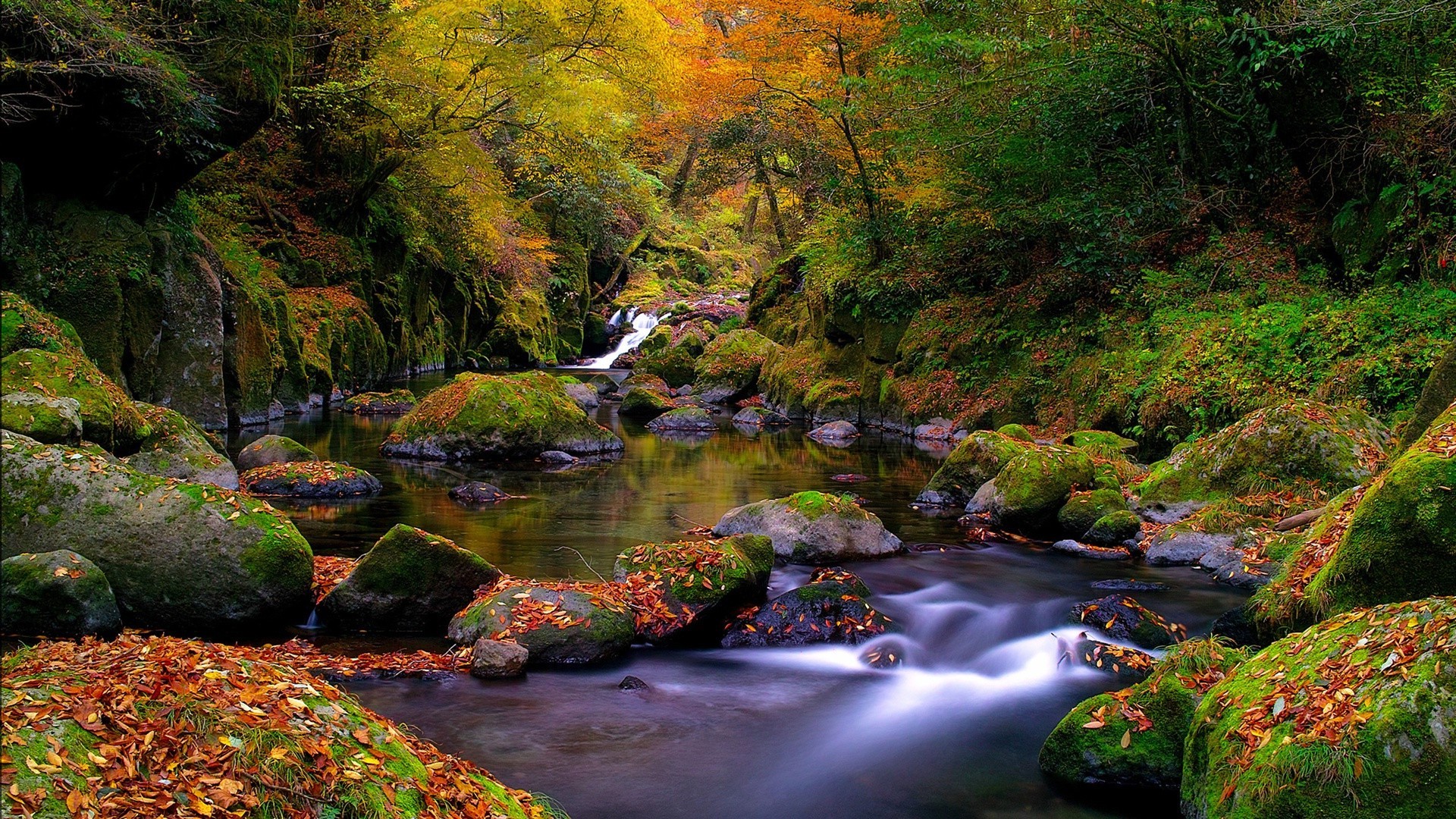 flüsse teiche und bäche teiche und bäche herbst wasser fluss landschaft natur blatt holz wasserfall baum fluss rock reisen berge im freien schrei üppig moos landschaftlich