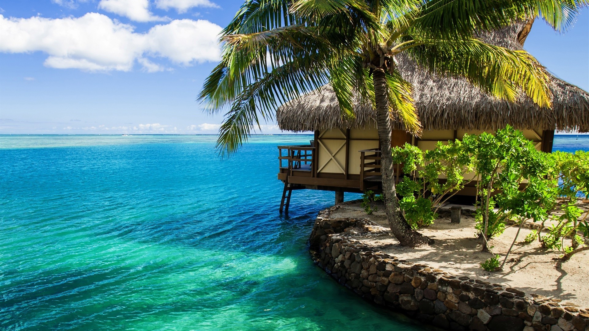 mar e oceano tropical praia paraíso ilha palma resort mar exótico oceano férias areia verão viagem idílio turquesa relaxamento água lagoa coco paisagem