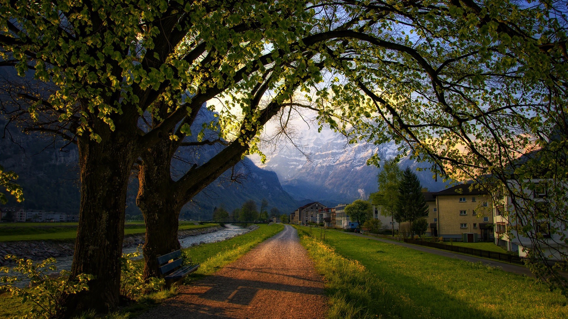 luoghi famosi albero paesaggio autunno legno natura parco foglia scenico all aperto strada guida bel tempo sole ramo erba luce del giorno stagione alba luce