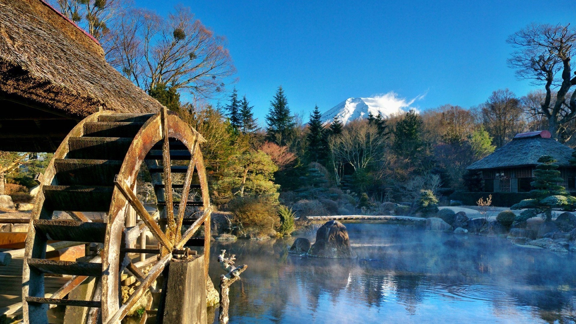 fiumi stagni e torrenti stagni e torrenti legno acqua legno all aperto viaggi paesaggio natura fiume lago legno autunno cielo scenic parco