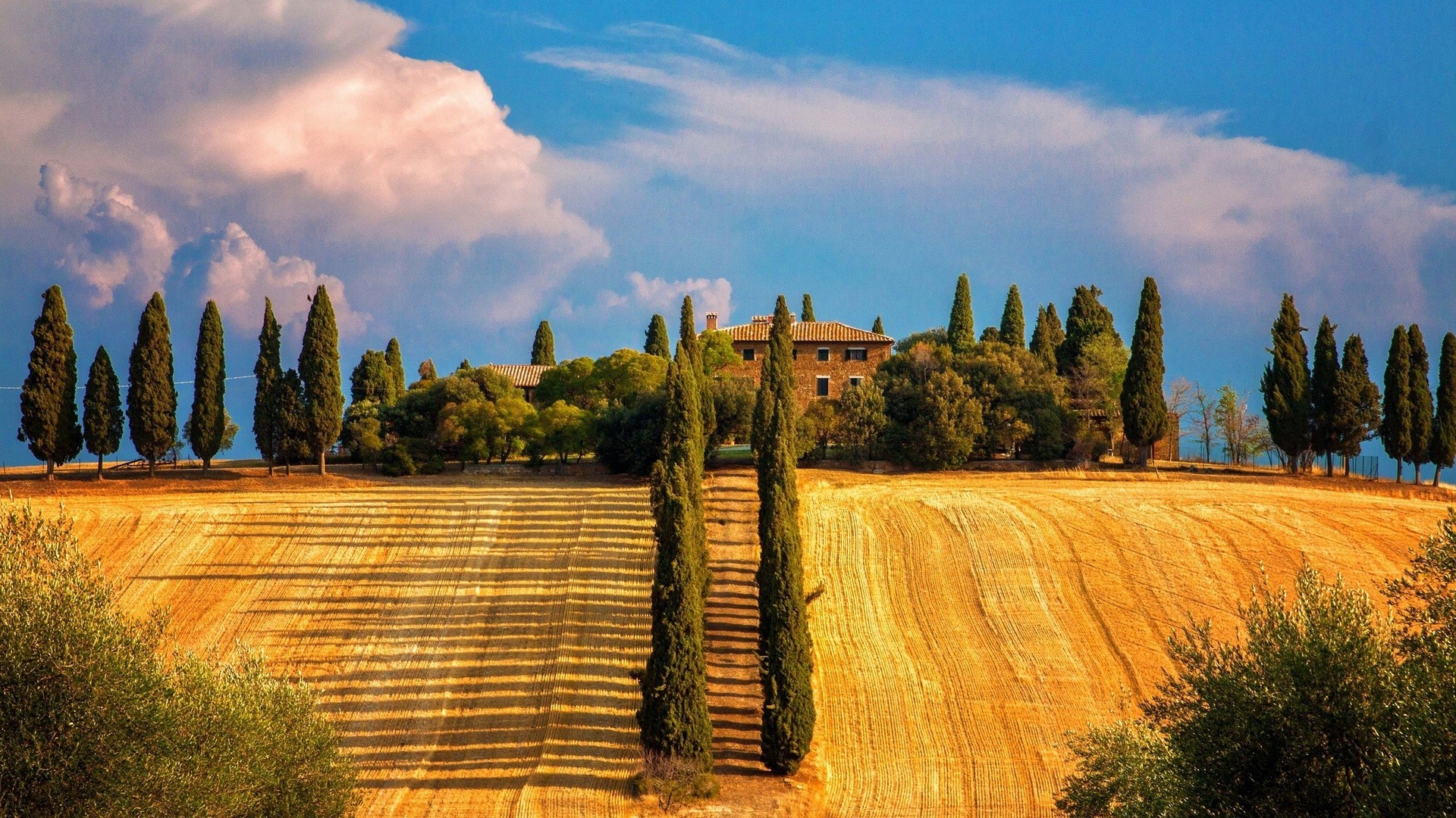 autunno all aperto albero natura cielo viaggi legno paesaggio tramonto campagna cipresso rurale estate autunno agricoltura alba bel tempo sera scenico