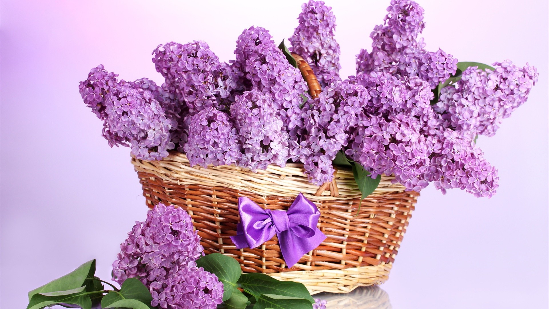 Basket of lilacs. Android wallpapers for free.