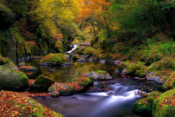 Très beau paysage d automne avec ruisseau