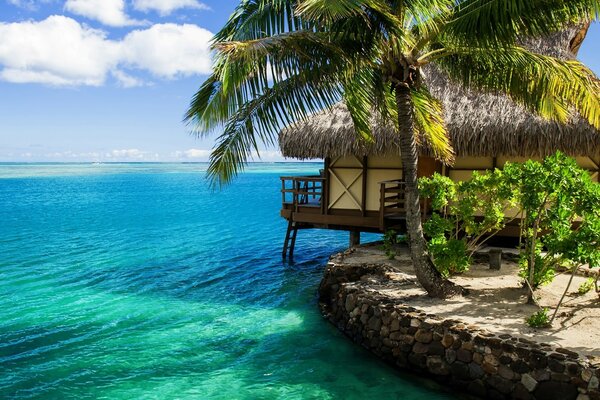 Paraíso tropical en Seychelles