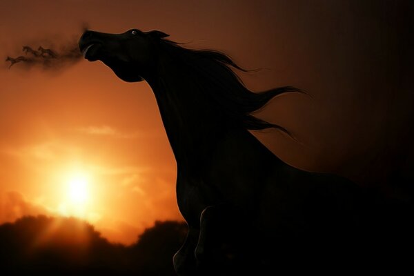 Silhouette of a horse in motion at sunset