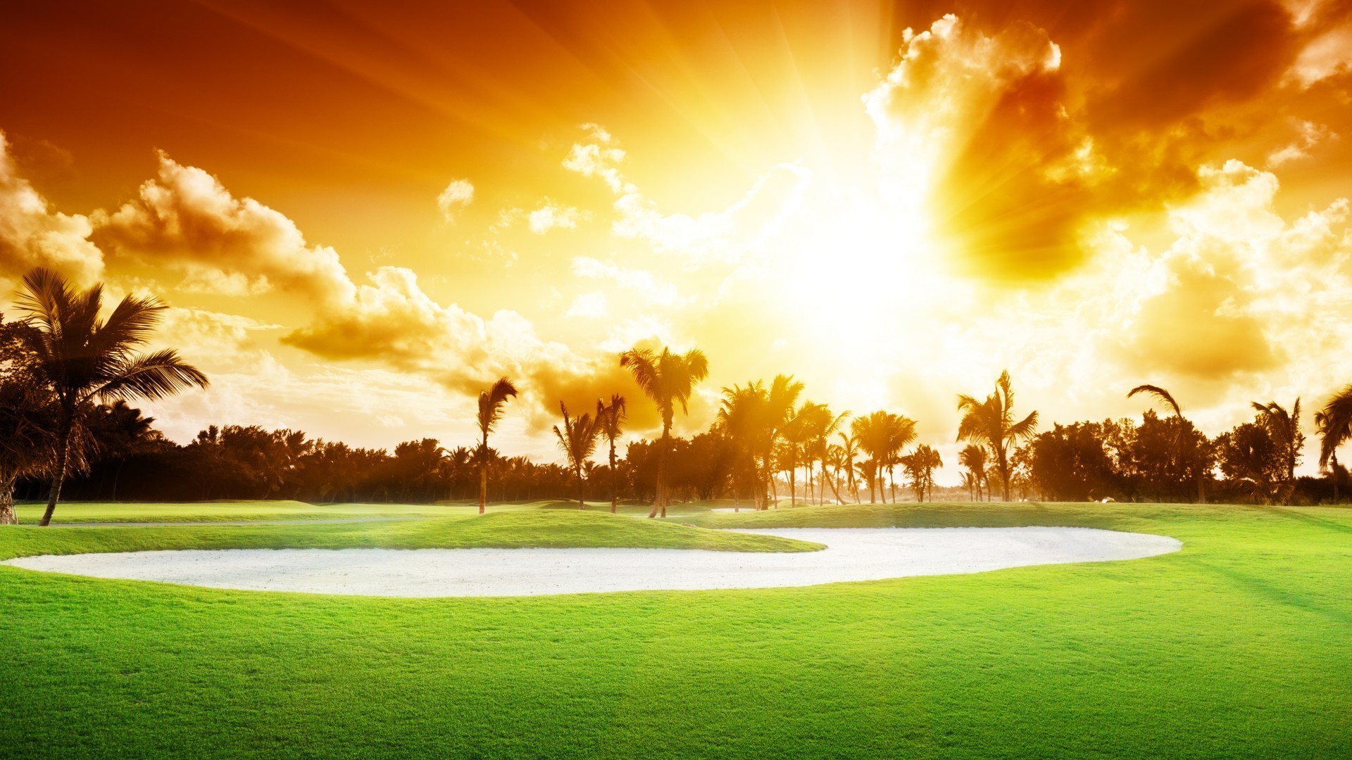 puesta de sol y amanecer hierba golf paisaje sol naturaleza amanecer puesta de sol buen tiempo campo árbol césped verano brillante cielo heno rural