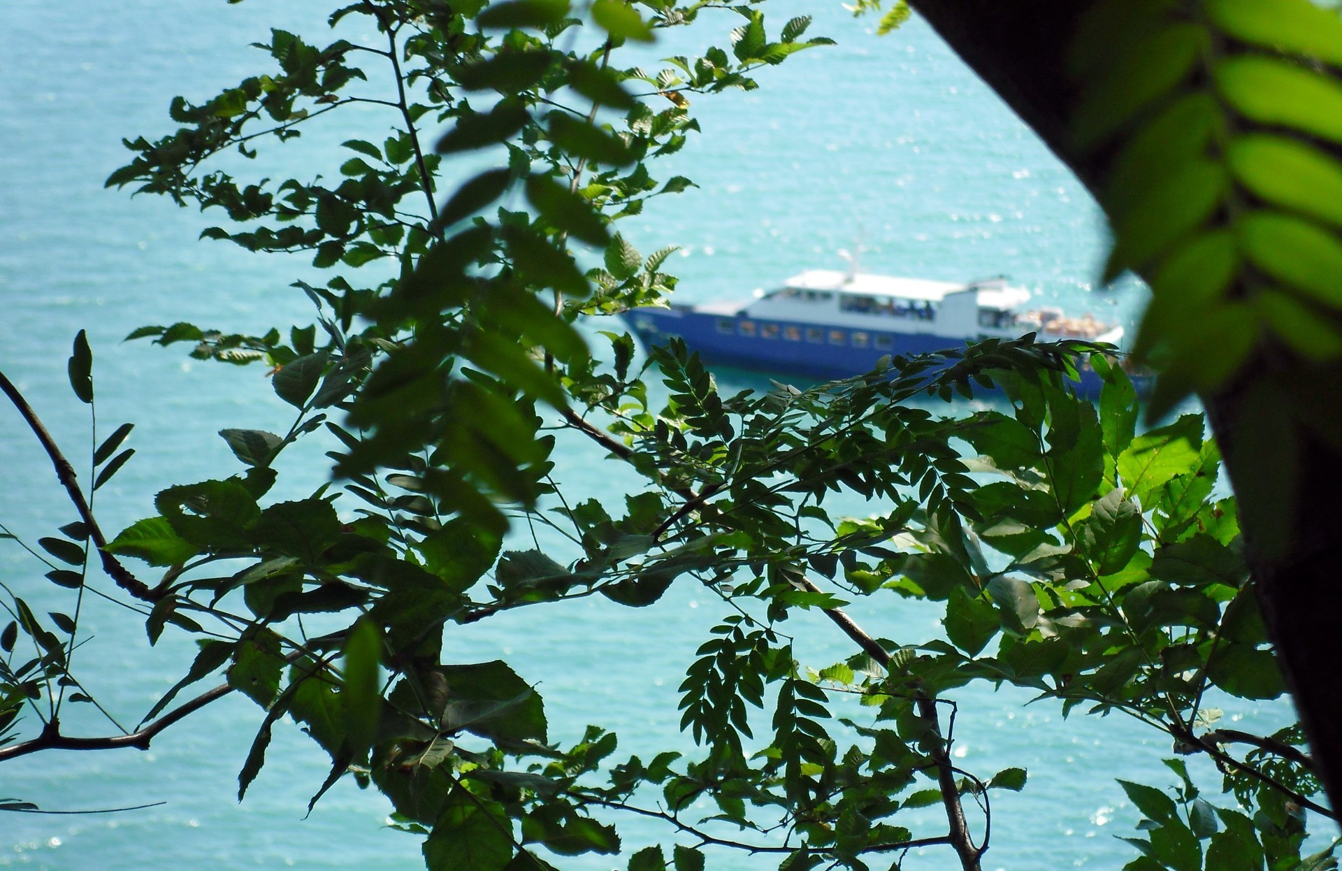 manzara ağaç açık havada su doğa yaprak yaz tropikal ortamlar seyahat flora ahşap yemek manzara gün ışığı