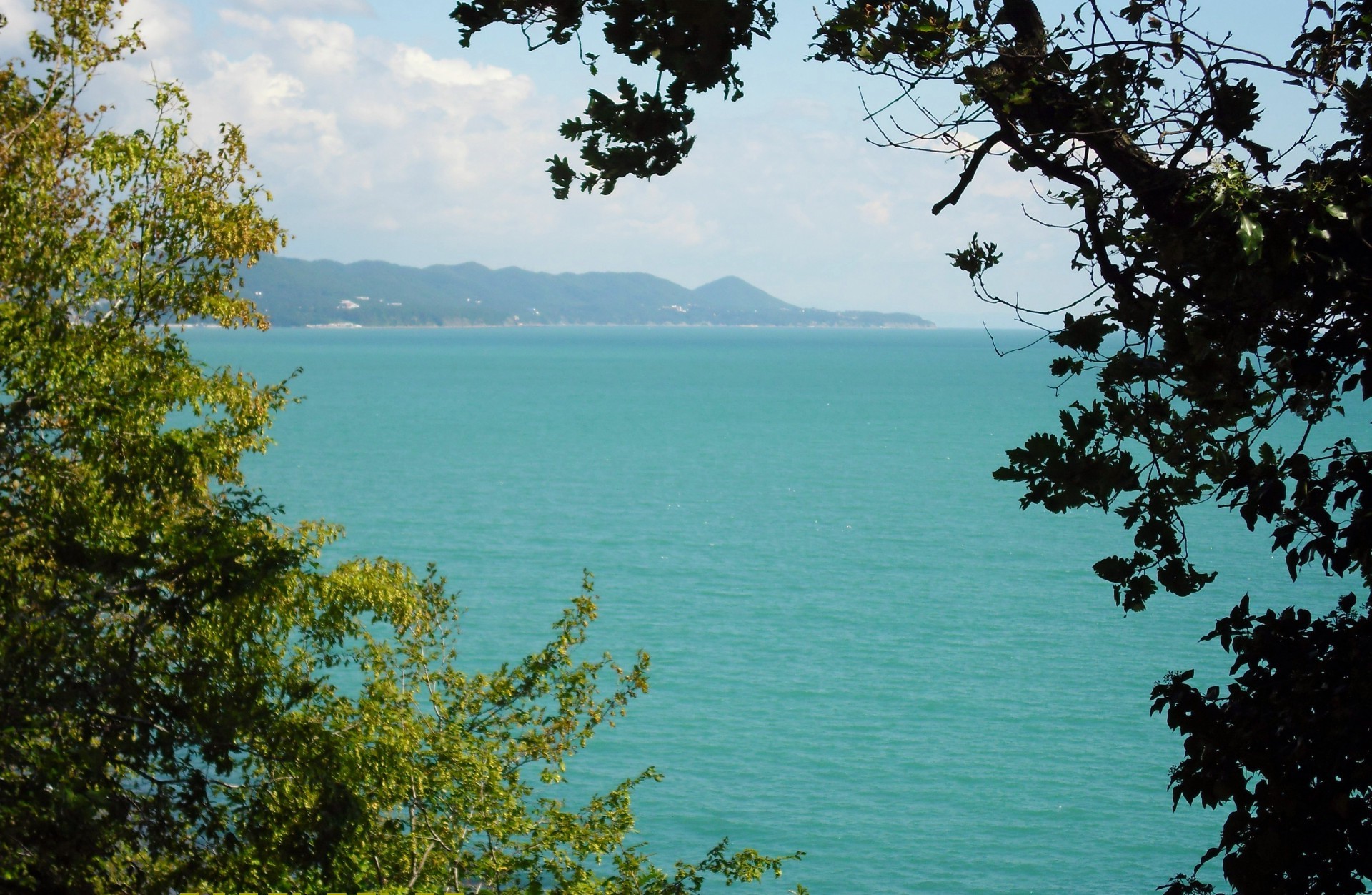 sea and ocean water tree landscape nature sky travel summer scenic sea seashore outdoors wood ocean lake island beach beautiful tropical sight