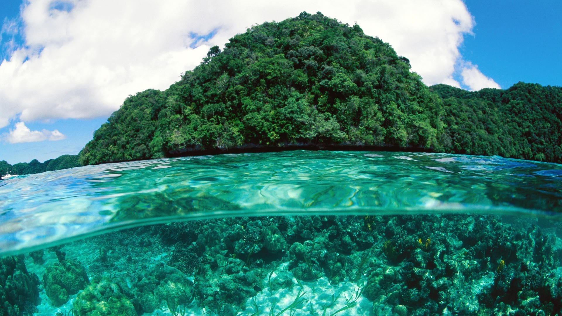 île eau nature tropical paysage voyage paysage mer lagune océan île turquoise plage mer été beau temps paradis baie corail vacances