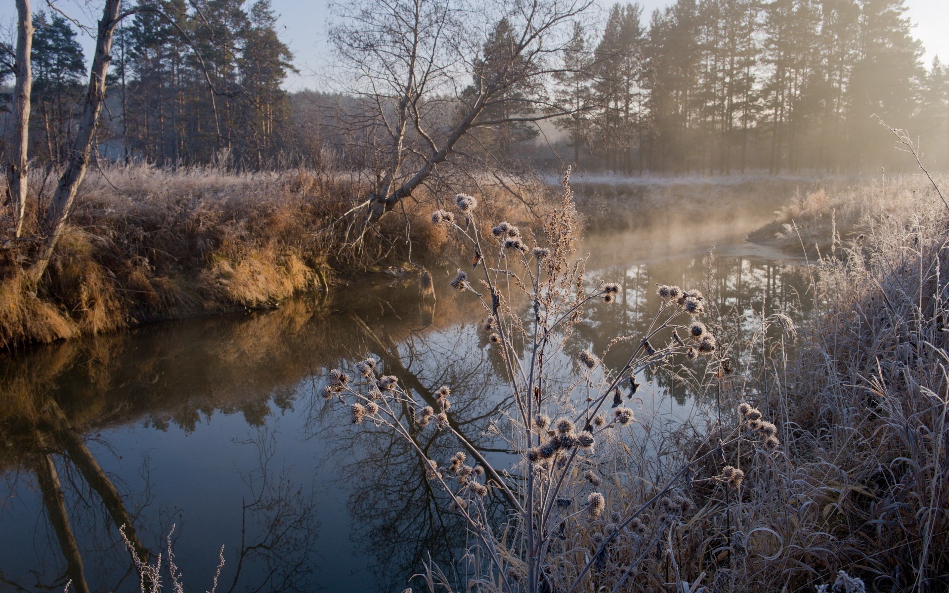 rivers ponds and streams winter snow nature cold water landscape tree wood reflection fall outdoors dawn frost lake ice river weather season frozen