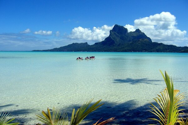 Tropische Insel. Das Resort. Der Strand