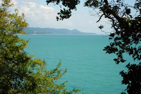 Oceano azul atrás das árvores verdes